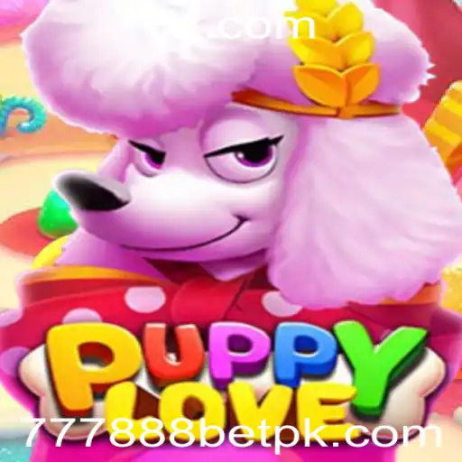 777888bet Casino App